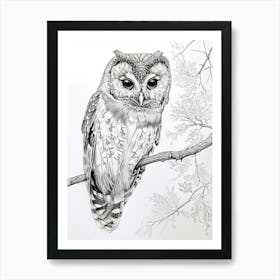 Northern Saw Whet Owl Marker Drawing 5 Art Print