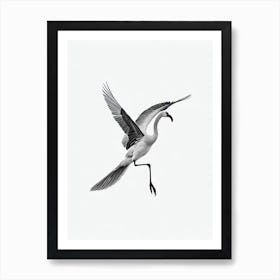 Greater Flamingo B&W Pencil Drawing 1 Bird Poster