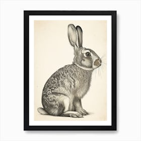 American Sable Black Blockprint Rabbit Illustration 3 Art Print