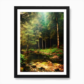 Forest In The Sun Art Print