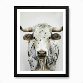 Longhorn Bull 3 Art Print