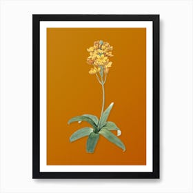 Vintage Sun Star Botanical on Sunset Orange n.0757 Art Print