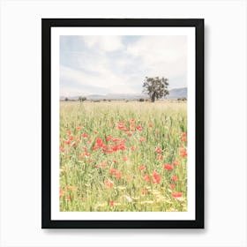 Puglia, Italy I Fields of wild red poppy flowers, natural boho bohemian photography in the Italian countryside of Mediterranean landscapes with a retro vintage pastel green summer aesthetic like in Tuscany Art Print