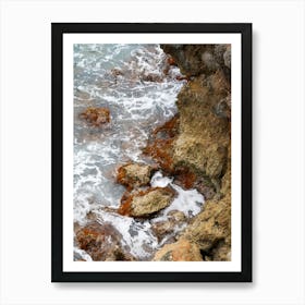 Rocky shore with seaweed Art Print