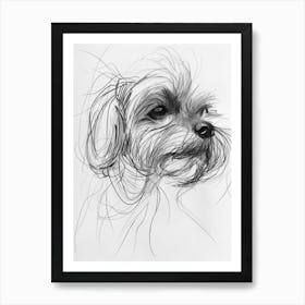 Maltese Dog Charcoal Line 2 Art Print