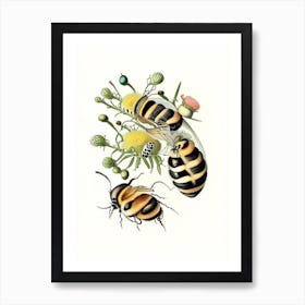 Larva Bees 2 Vintage Art Print