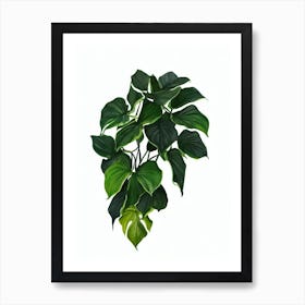 Philodendron 'Prince Of Orange' (Philodendron Hybrid) Watercolor Art Print