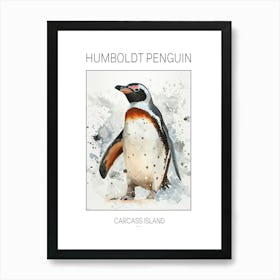 Humboldt Penguin Carcass Island Watercolour Painting 2 Poster Art Print