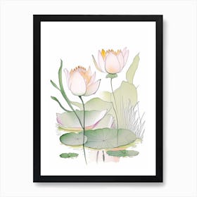 Lotus Flowers In Garden Pencil Illustration 1 Art Print