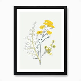 Feverfew Spices And Herbs Minimal Line Drawing 1 Art Print