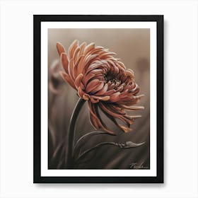 Gerbera Daisy 1 Art Print