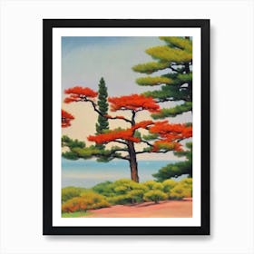 Japanese Red Pine Tree Watercolour Art Print