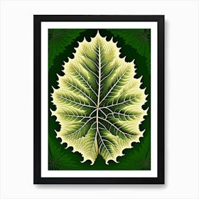 Elm Leaf Vintage Botanical 3 Art Print