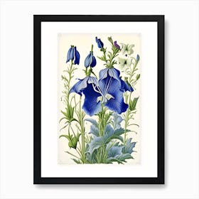 Bellflower 2 Floral Botanical Vintage Poster Flower Art Print