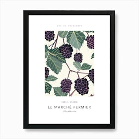 Blackberries Le Marche Fermier Poster 1 Póster