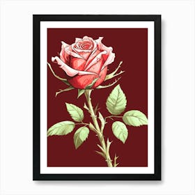 Rose On A Stem Art Print