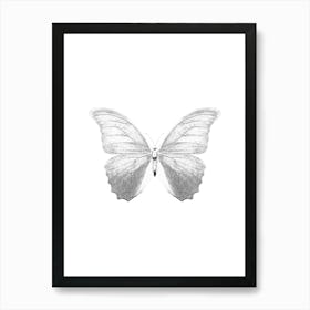 Butterfly 3 Art Print