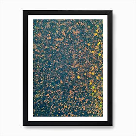 Autumn Leaves In The Water Art Print