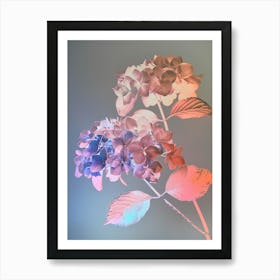 Iridescent Flower Hydrangea 1 Art Print