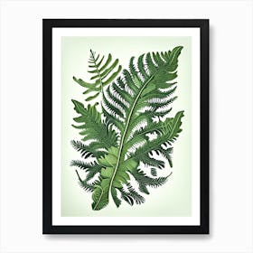 Evergreen Fern Wildflower Vintage Botanical Art Print