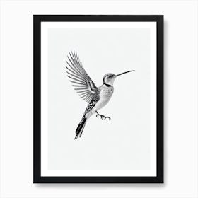 Hoopoe B&W Pencil Drawing 2 Bird Art Print