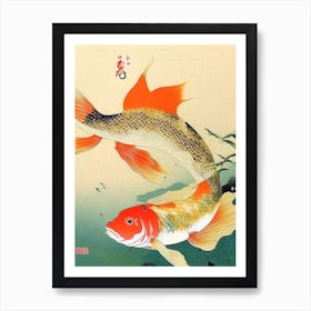 Yotsushiro Koi Fish 1, Ukiyo E Style Japanese Art Print