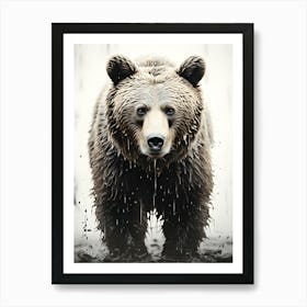 Wild Tranquility Bear S Wilderness Art Print