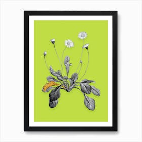 Vintage Daisy Flowers Black and White Gold Leaf Floral Art on Chartreuse n.0452 Art Print