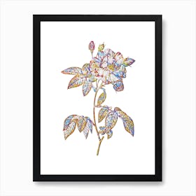 Stained Glass French Rosebush with Variegated Flowers Mosaic Botanical Illustration on White n.0267 Art Print