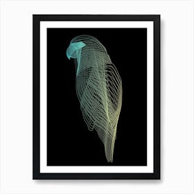 Parrot  Art Print