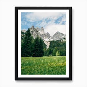 Austrian Alps Meadow Art Print
