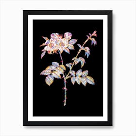 Stained Glass White Flowered Rose Mosaic Botanical Illustration on Black n.0105 Art Print