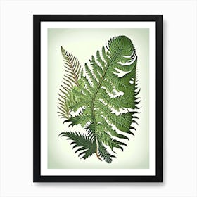 Sensitive Fern Vintage Botanical Poster Art Print