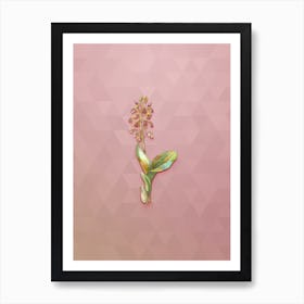 Vintage Brown Widelip Orchid Botanical Art on Crystal Rose n.1290 Art Print