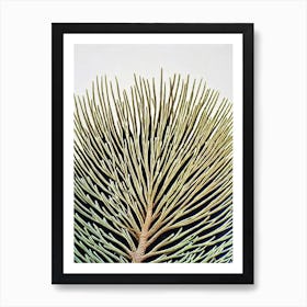 Acropora Sarmentosa Ii Linocut Art Print