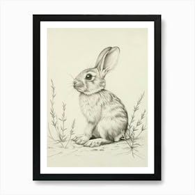 Mini Satin Rabbit Drawing 4 Art Print