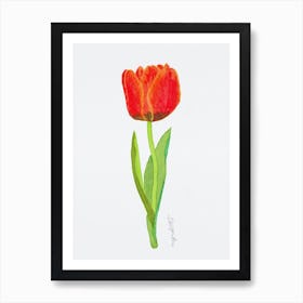 Tulip8 Art Print