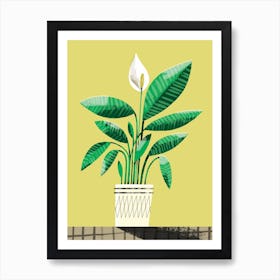 Portrait Of A Peace Lily Art Print