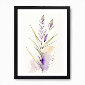 Psyllium Herb Minimalist Watercolour 3 Art Print