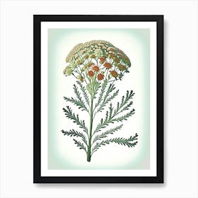 Yarrow Floral 1 Botanical Vintage Poster Flower Art Print