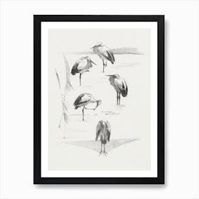 Greeting Card With Five Storks (1878–1917), Theo Van Hoytema Art Print