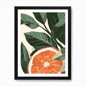 Guava Close Up Illustration 6 Art Print