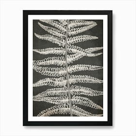 Fern Leaf Botanical 2 Art Print