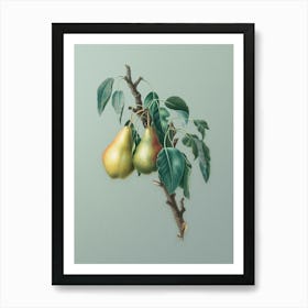 Vintage Lemon Pear Botanical Art on Mint Green n.0043 Art Print