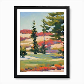 Pine Tree Watercolour 1 Art Print