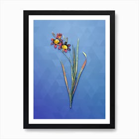 Vintage Ixia Tricolor Botanical Art on Blue Perennial n.2021 Art Print