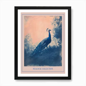 Peacock In The Wild Blue Cyanotype 1 Poster Art Print