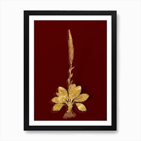 Vintage Blazing Star Botanical in Gold on Red Art Print