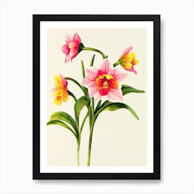 Daffodils Vintage Flowers Flower Art Print