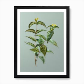 Vintage Northern Bush Honeysuckle Flowers Botanical Art on Mint Green n.0306 Art Print